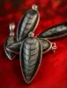 Natural Orthoceras Kuber Stone Pendant 